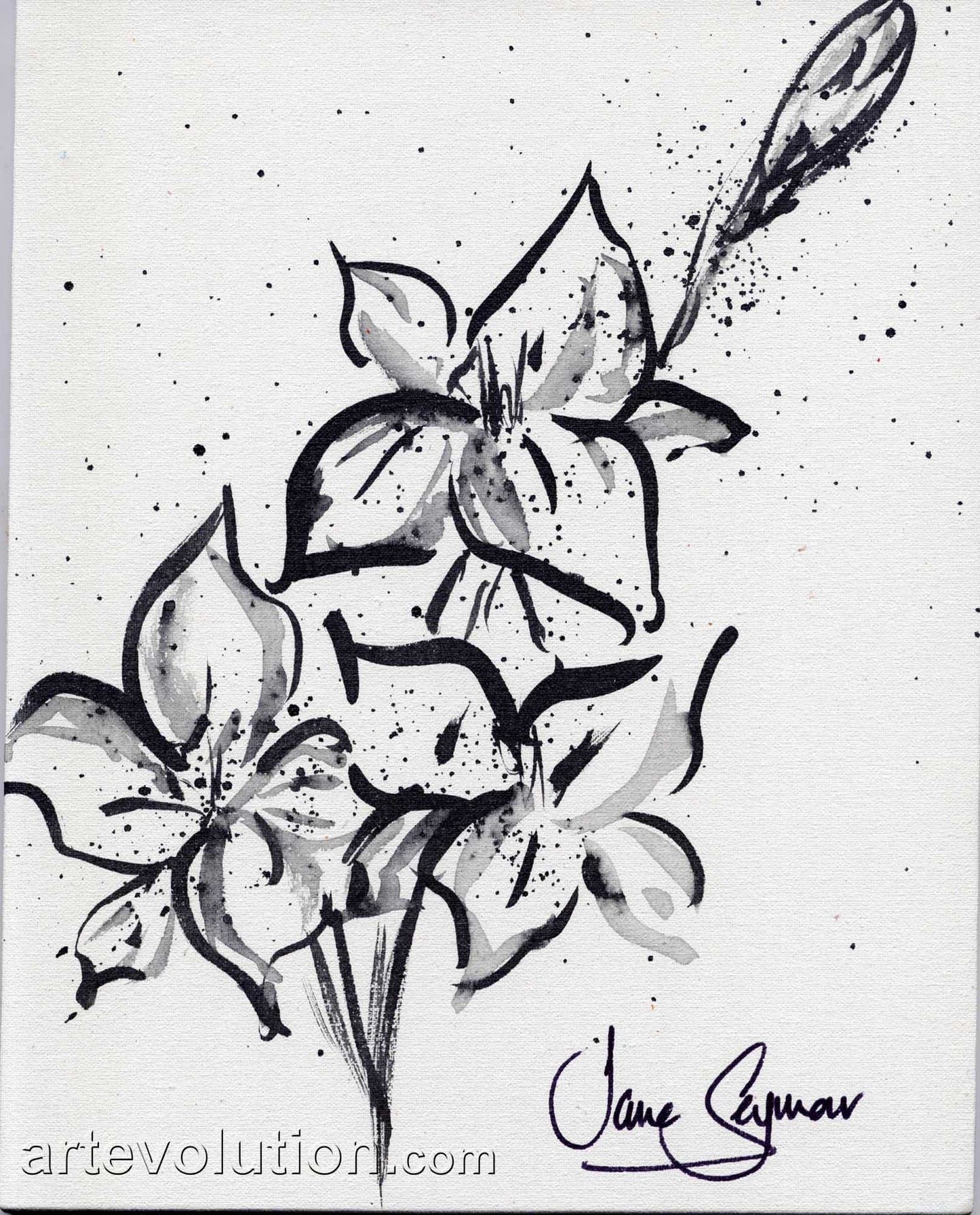 Stargazer Lily IX