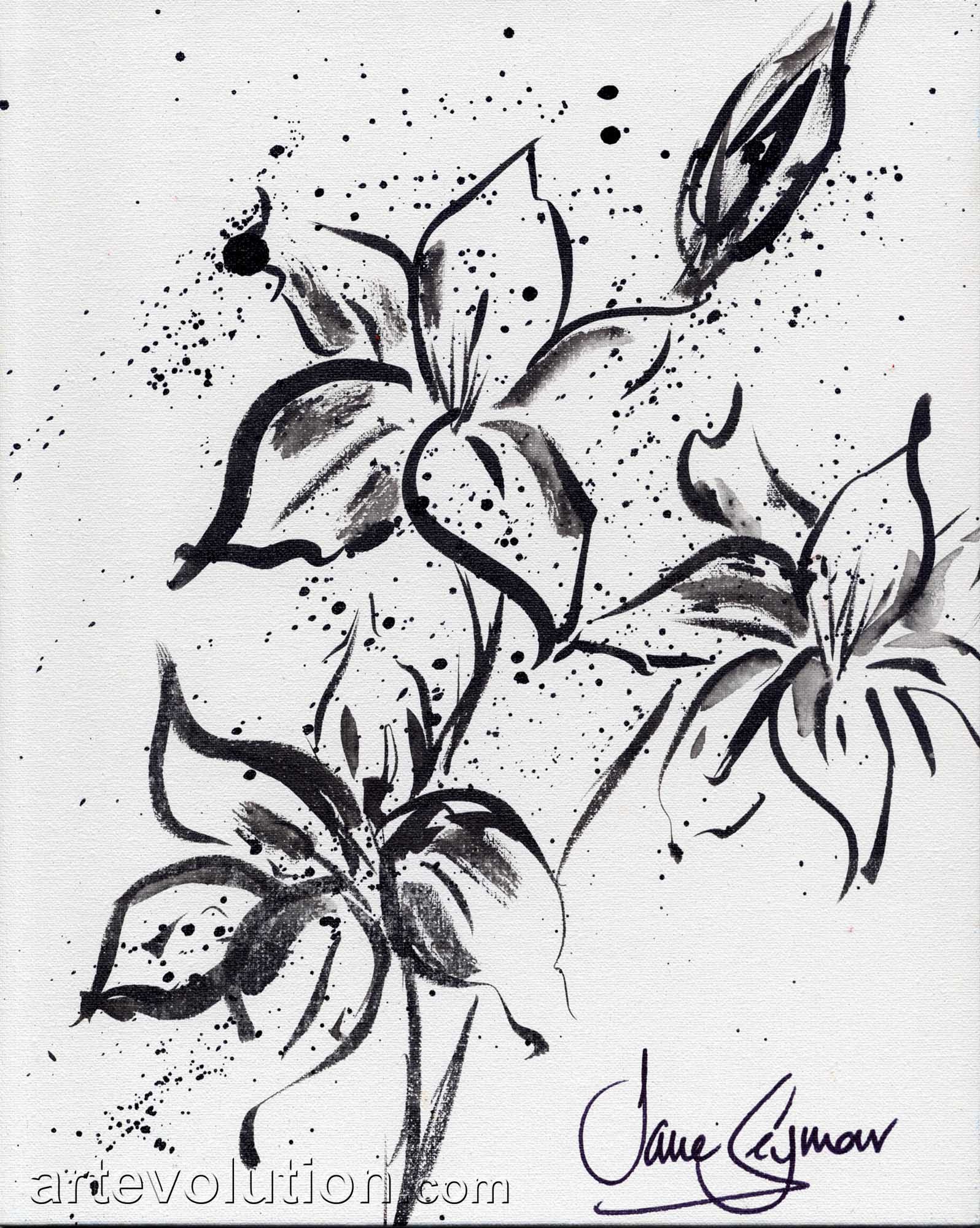 stargazer lily line drawings