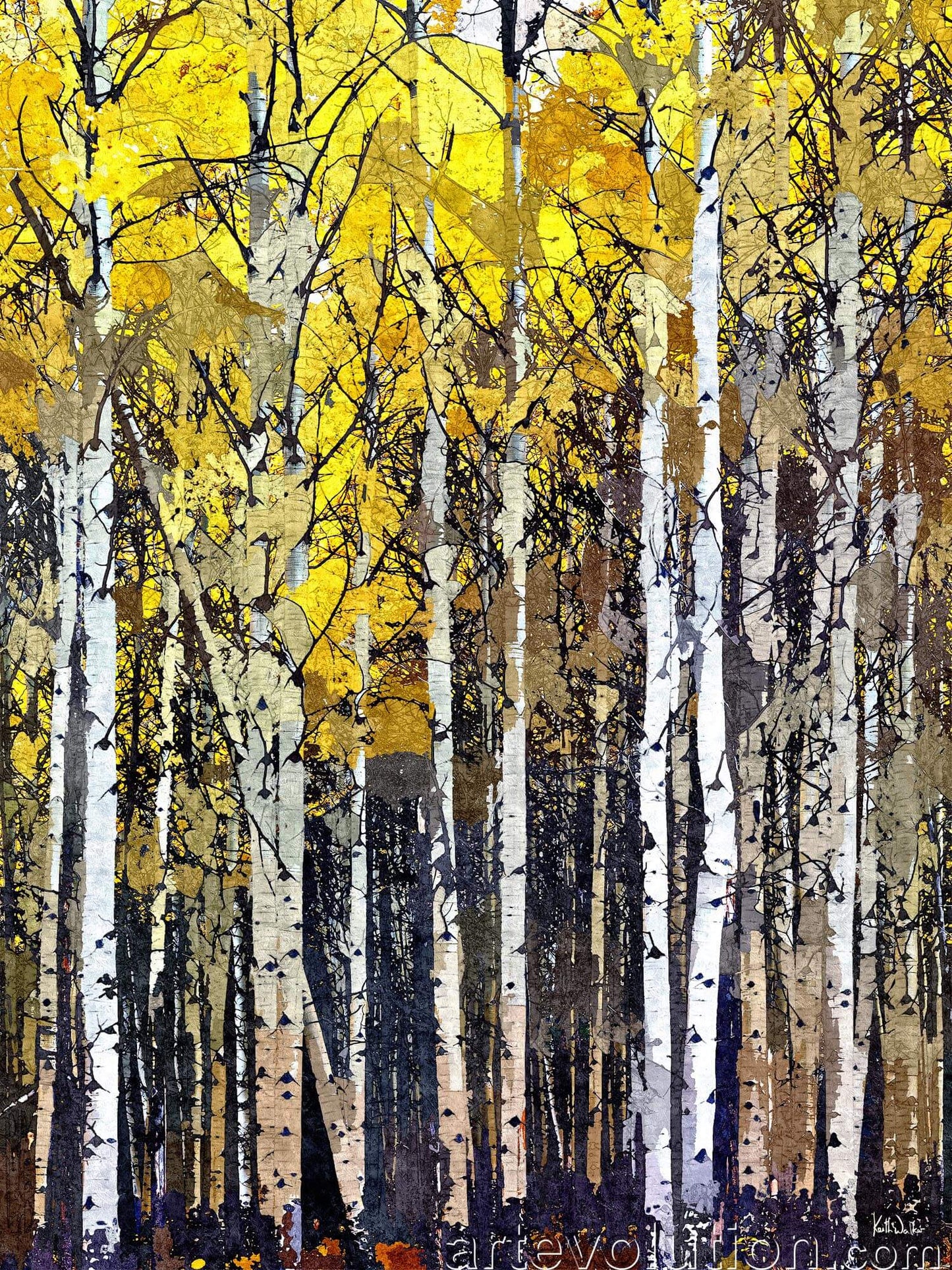 Autumn Splendor I