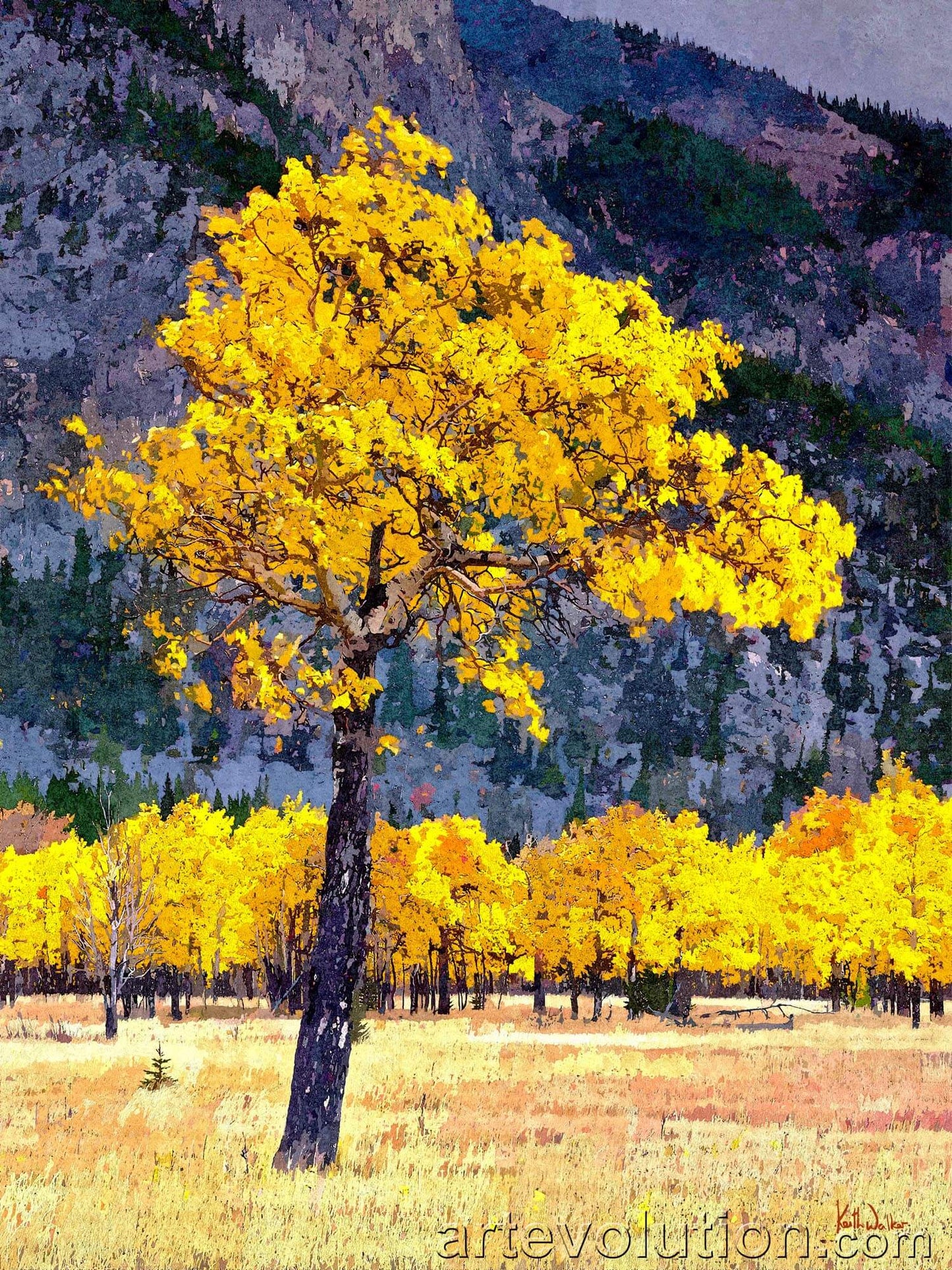 Autumn Splendor II