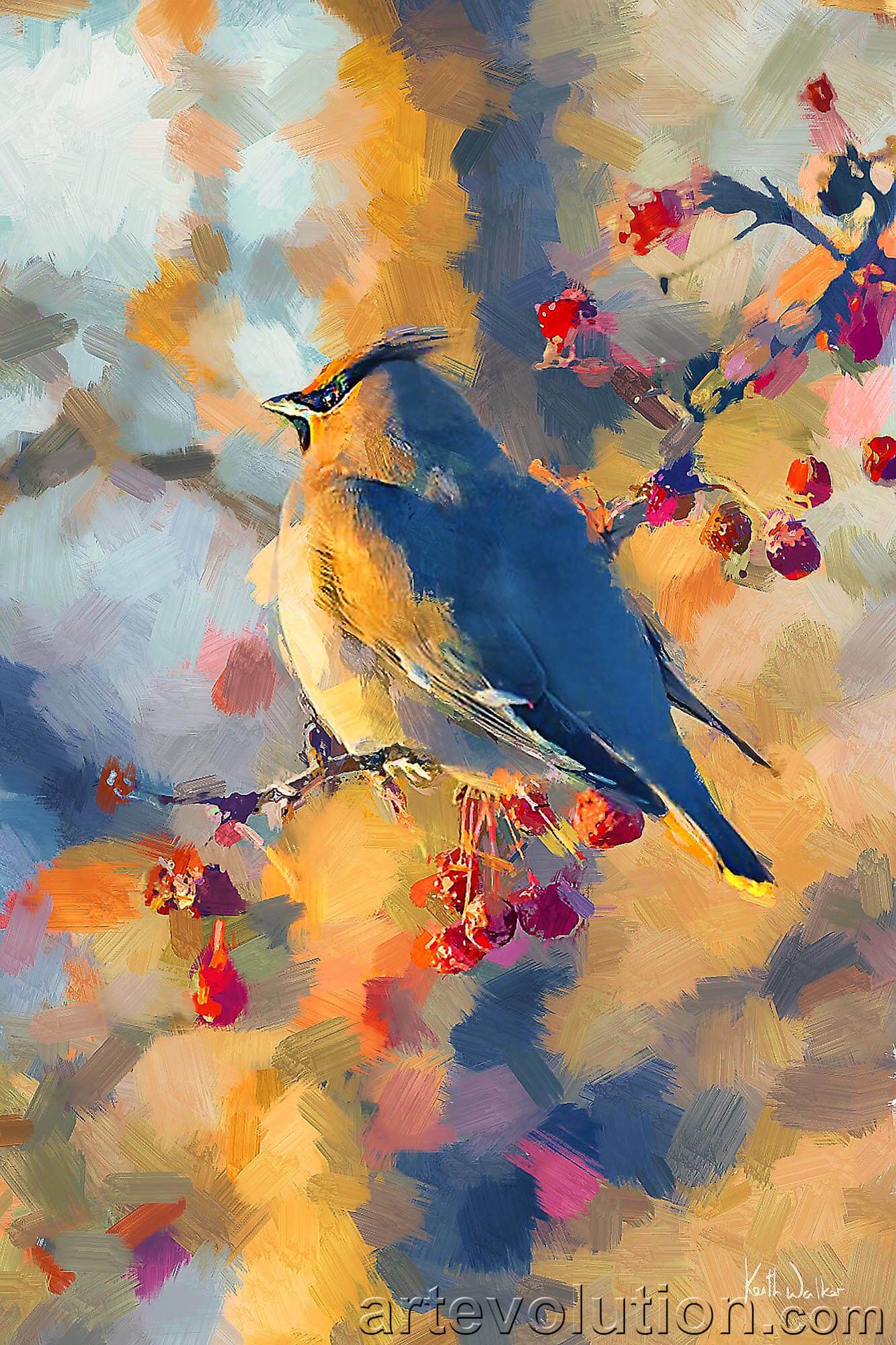 Bohemian Waxwing