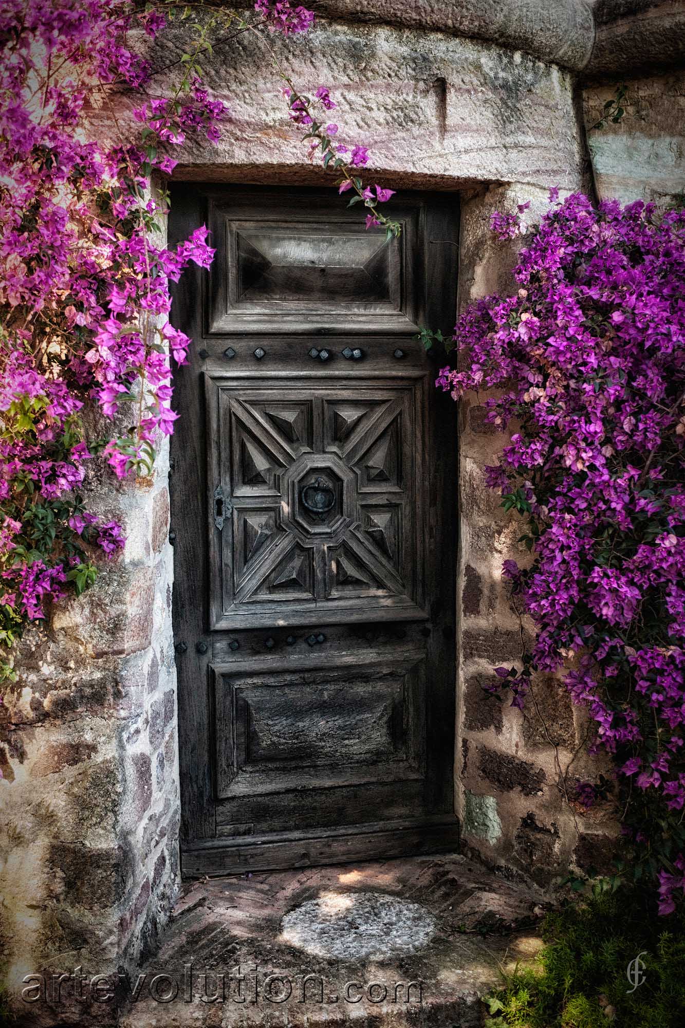 Castle Door I