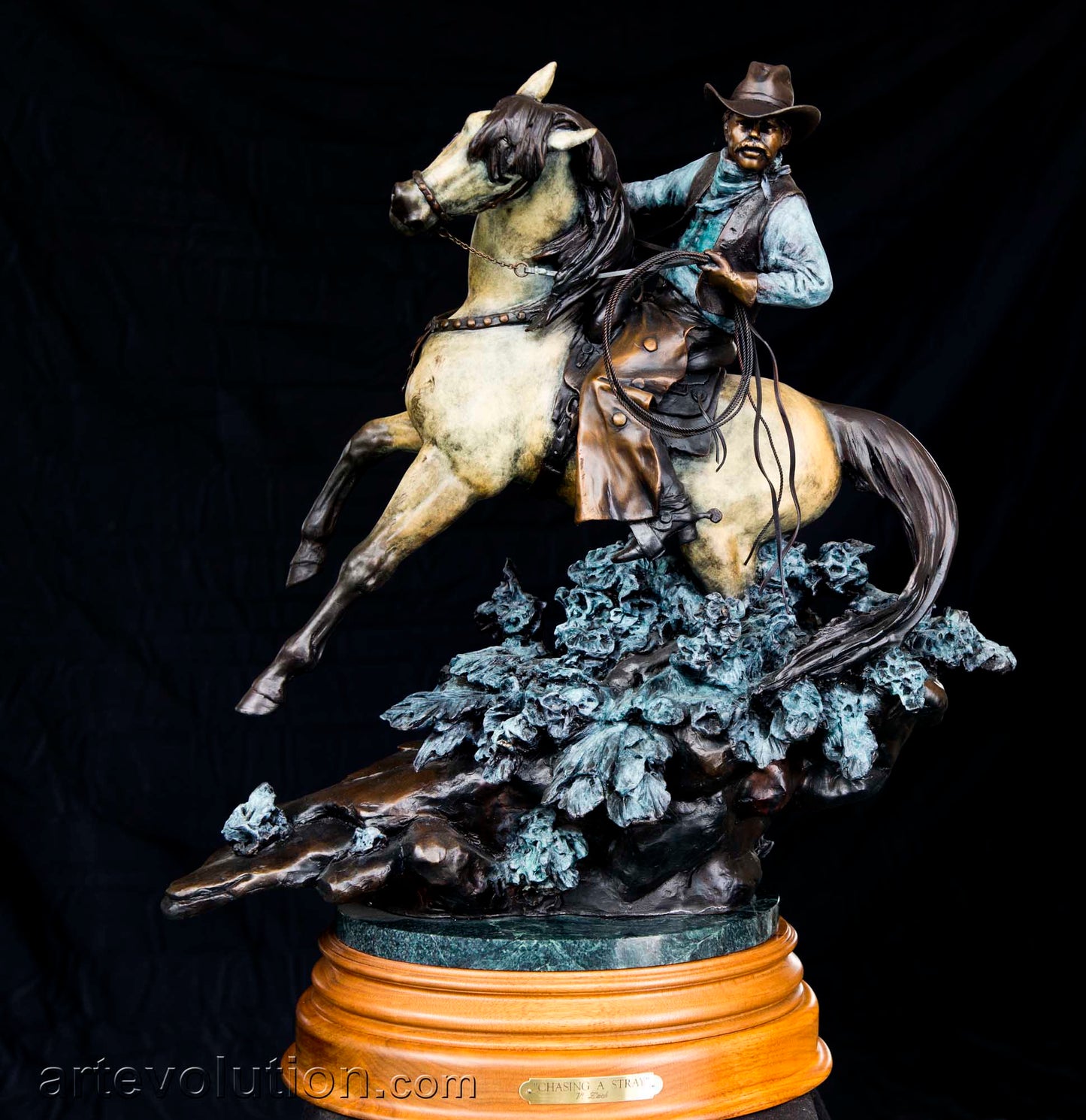 Chasing a Stray (large)