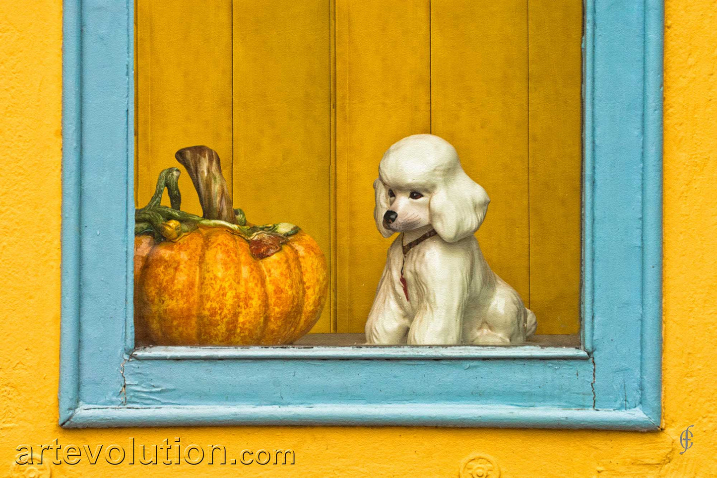 Doggy In The Window
