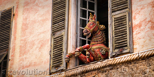 Equine Transcendence