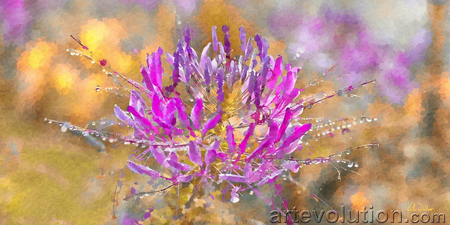Exuberance I
