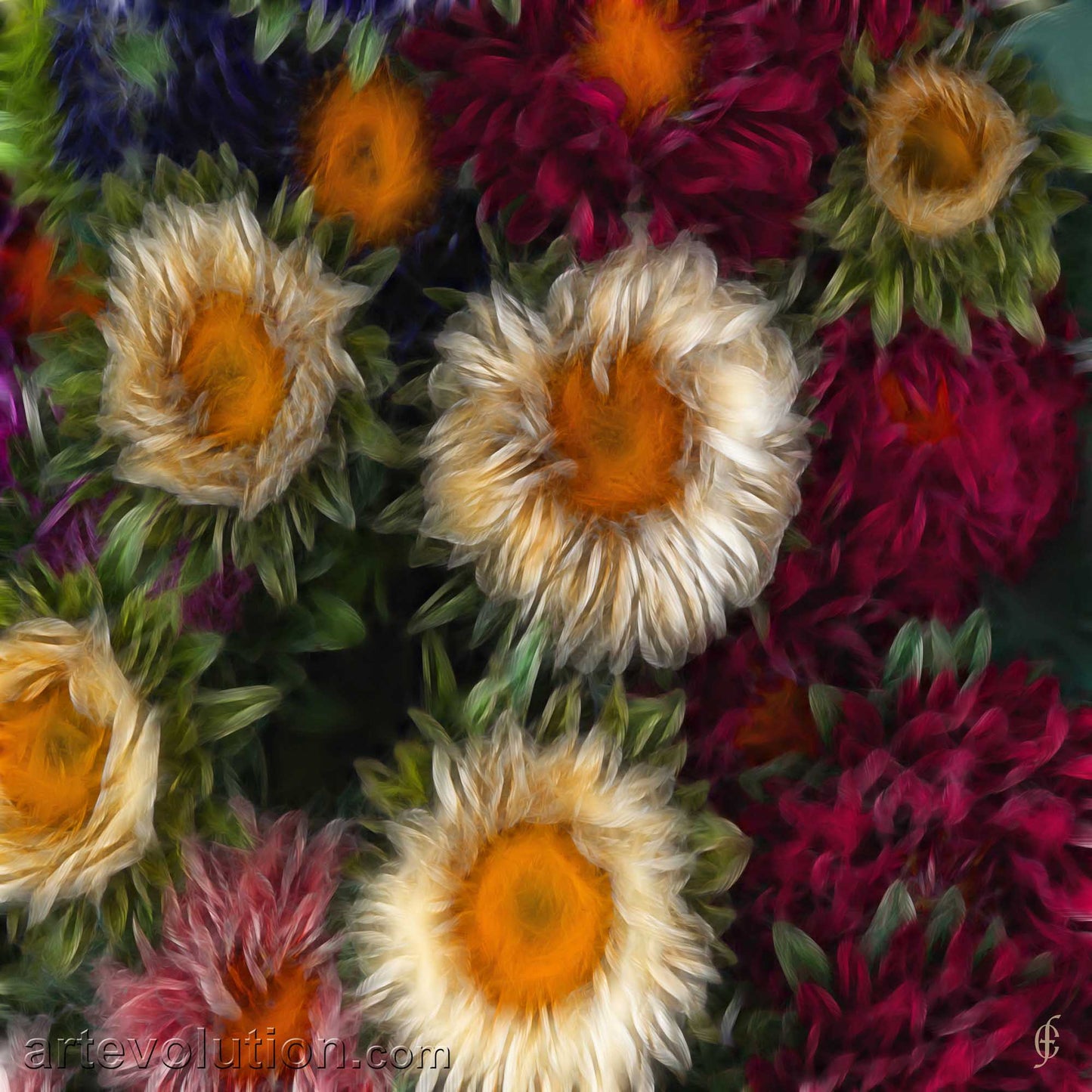 Floral I