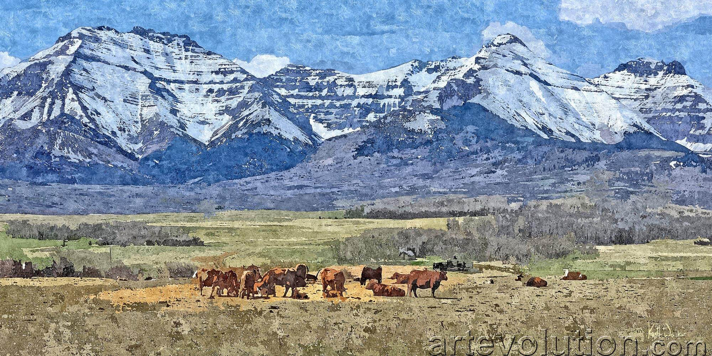 Home on the Range