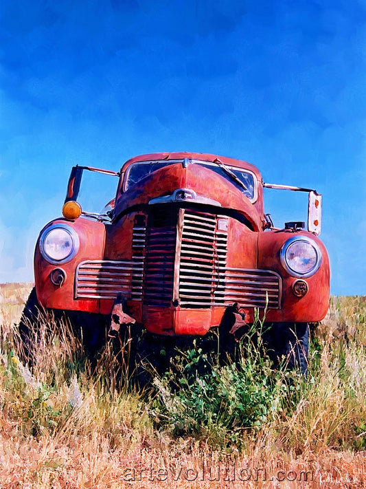 International Traveller