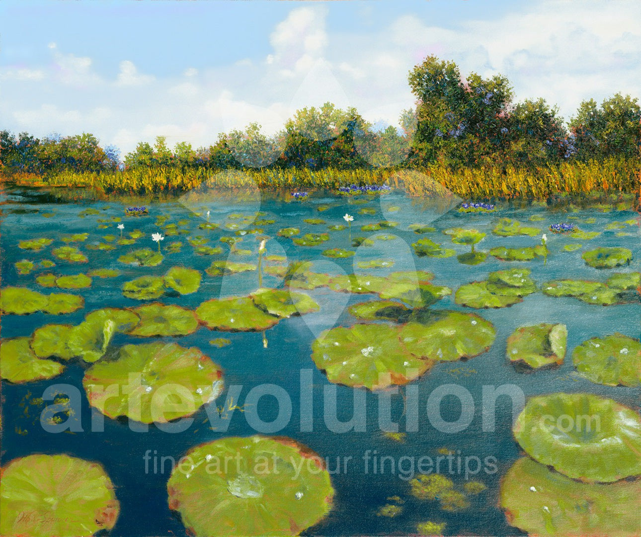 Lily Pads II