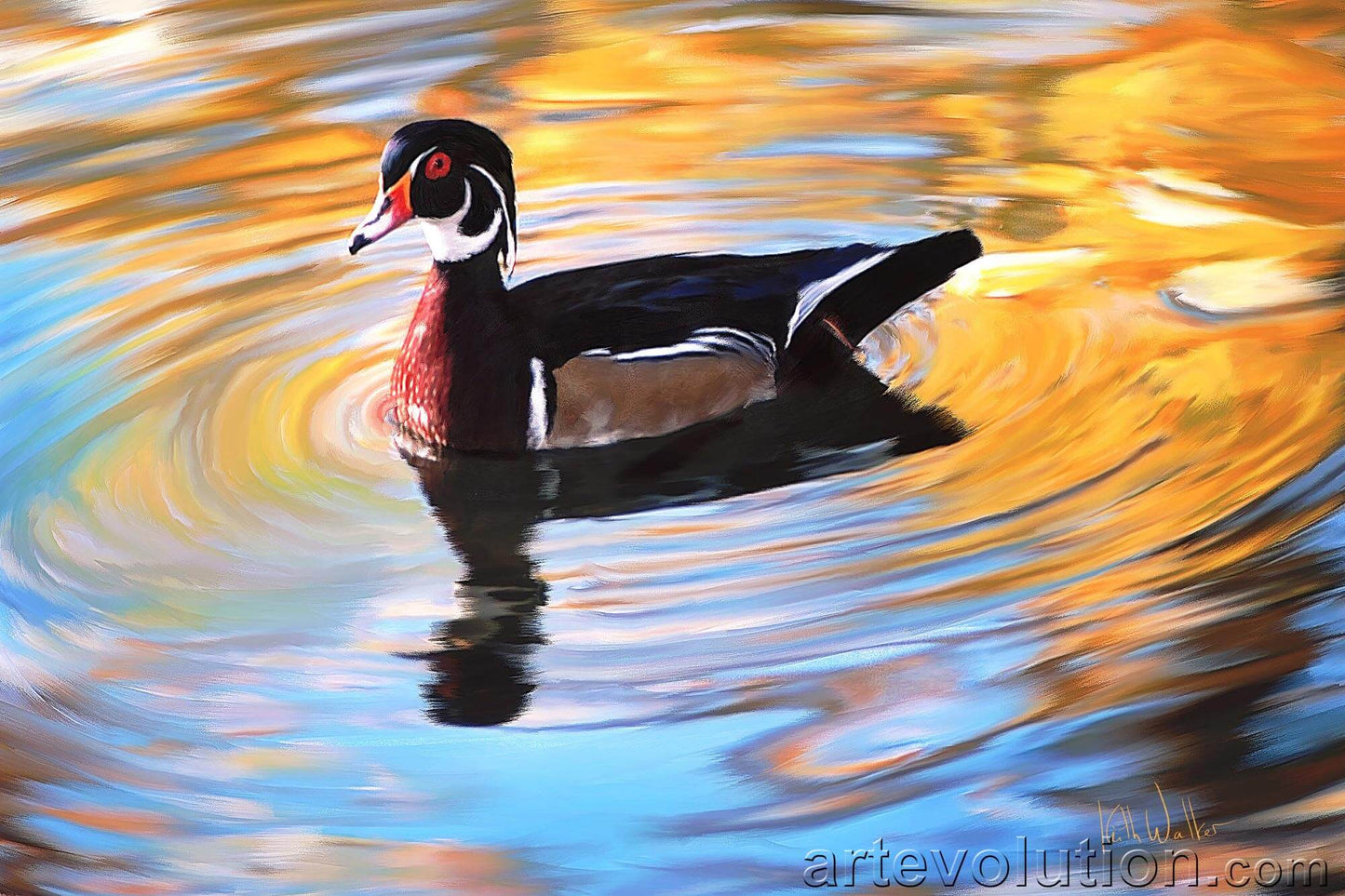 Jewel of the Pond