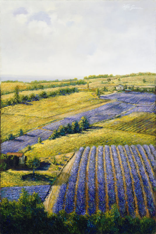 Lavender Fields