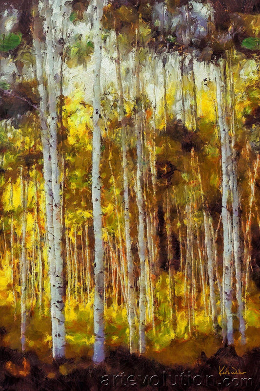 Magical Light in Birches