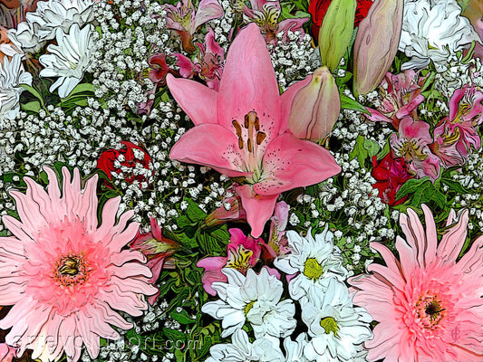 Magician’s Garden IV