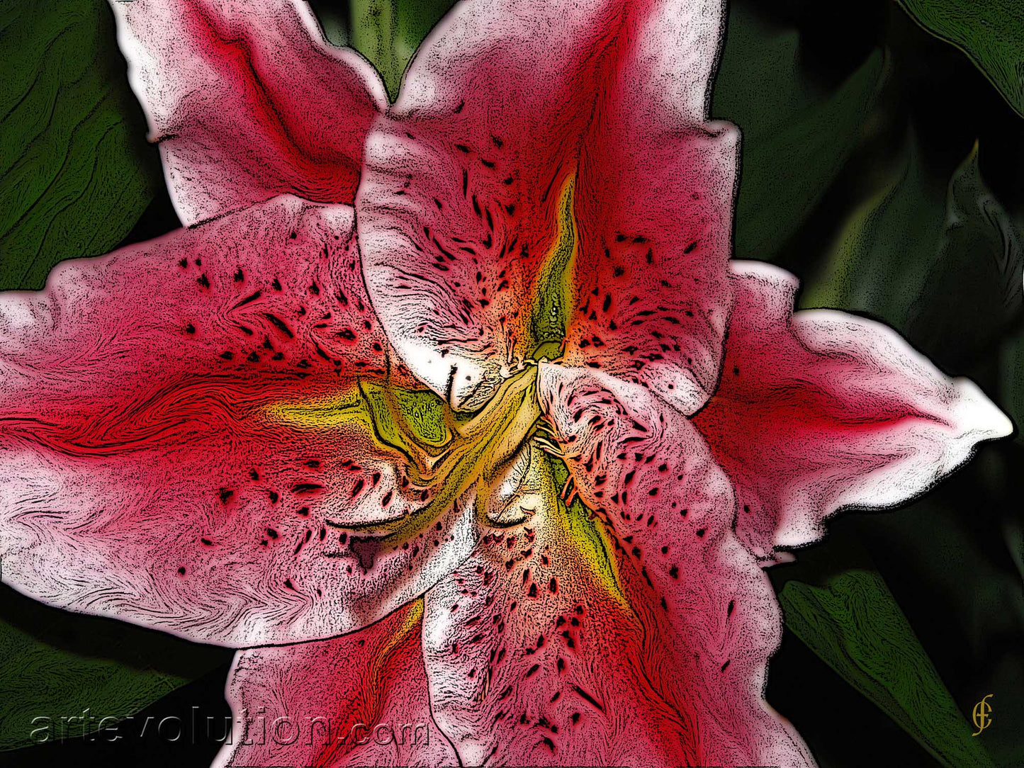 Magician’s Garden V