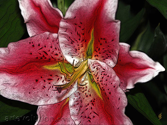 Magician’s Garden V