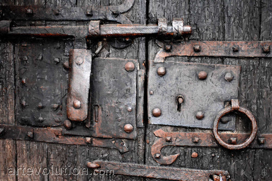Medieval Door I