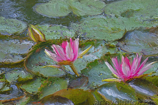 Monet's Garden Water Lilies