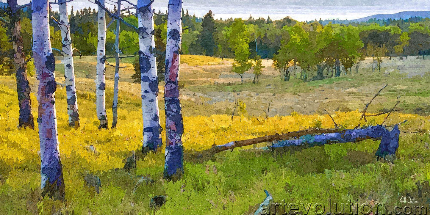 Morning Light in the Foothills