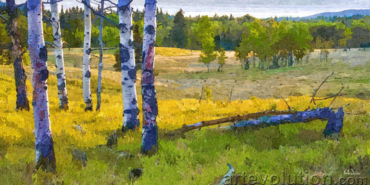 Morning Light in the Foothills