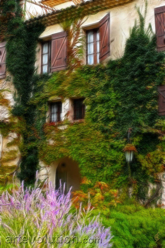 Mougins I