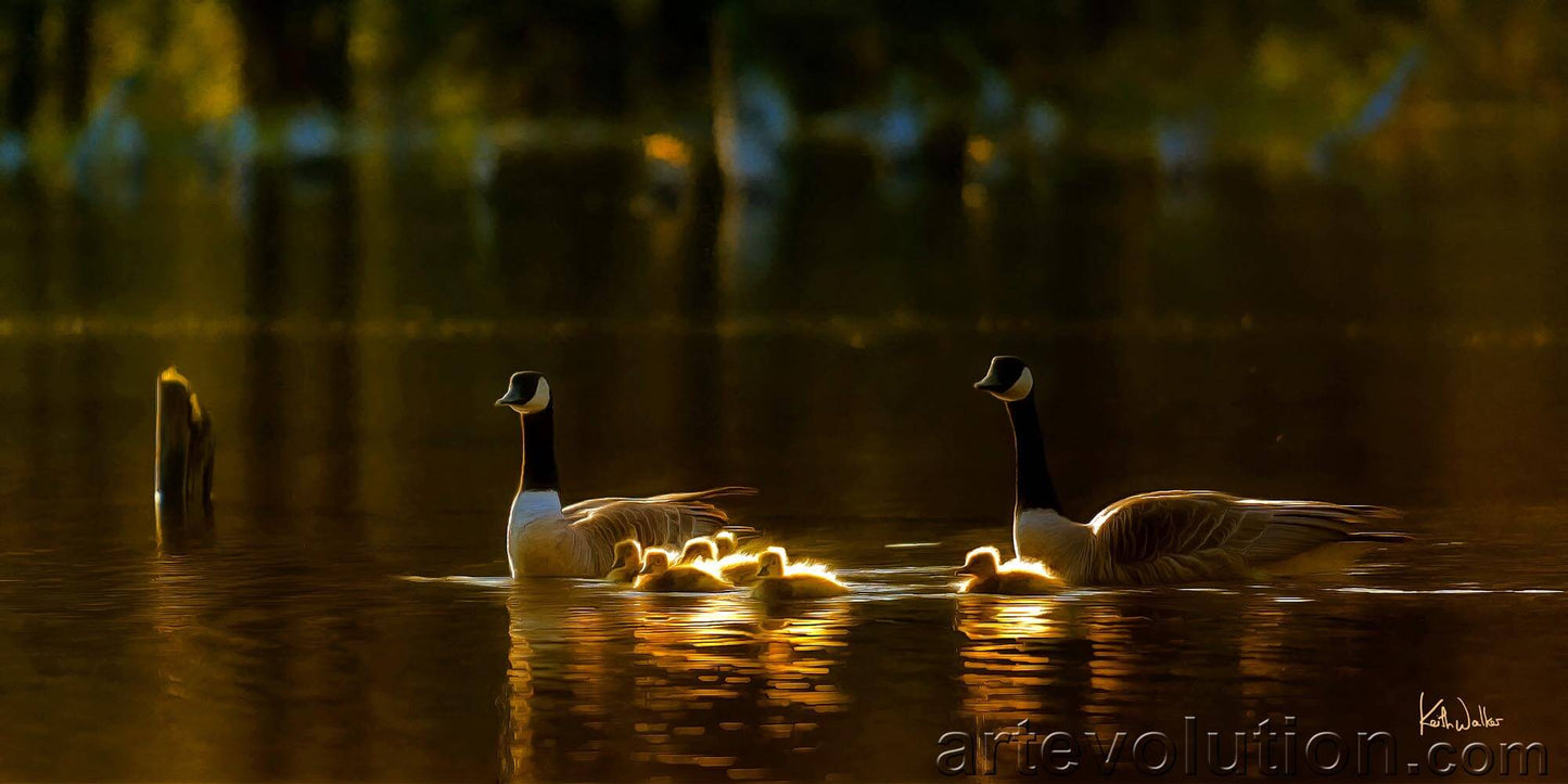 Mountain Lake Refuge