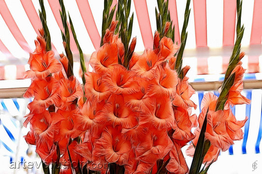 Nice Flower Market