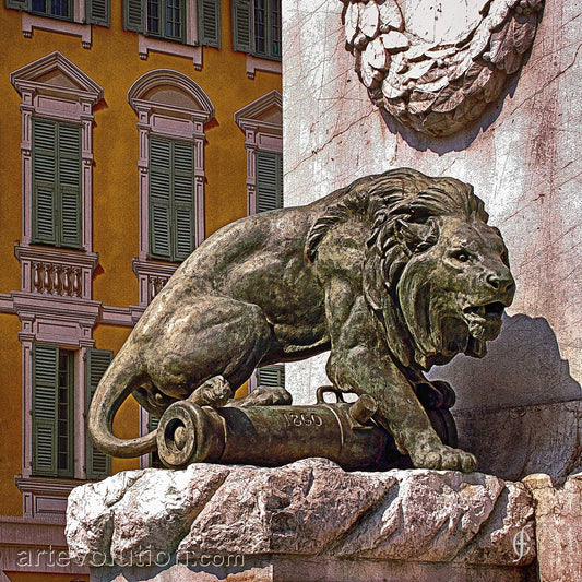 Nice Lion
