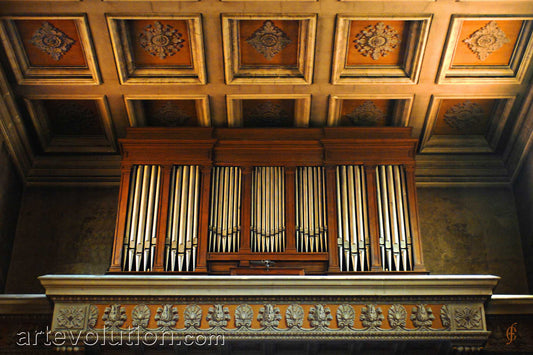 Nice Organ