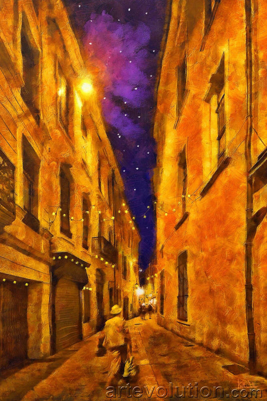 Nuit etoilee a Nimes