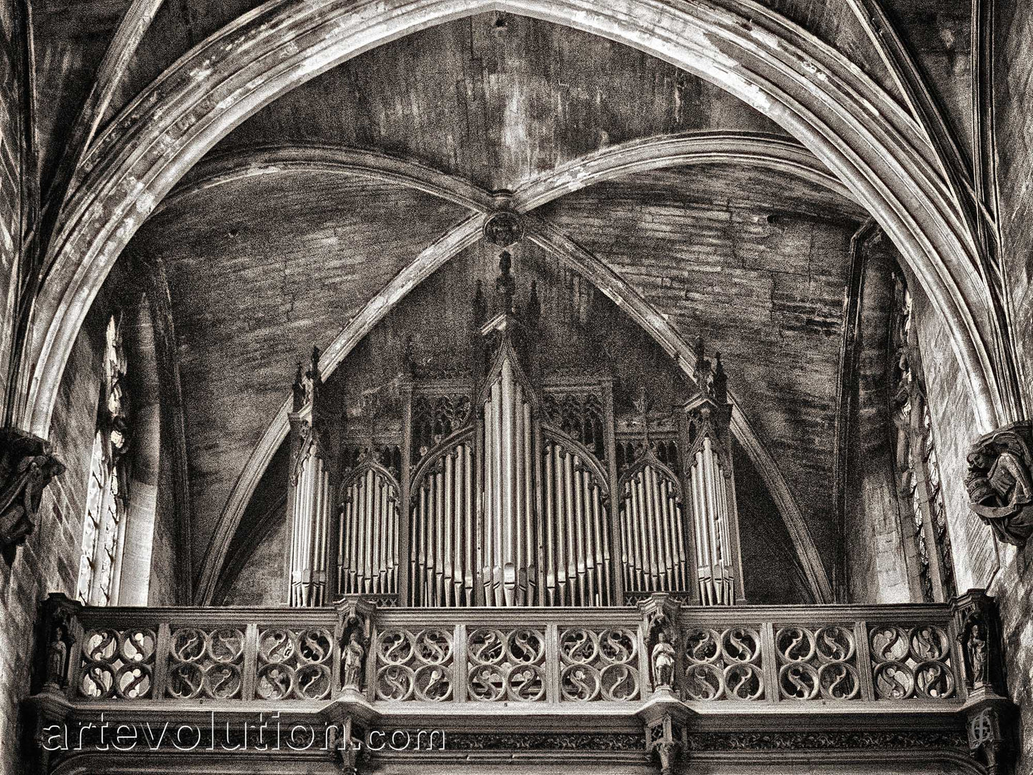 Organ I
