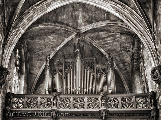 Organ I