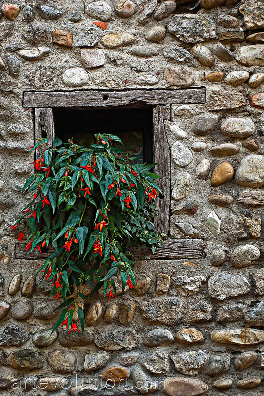 Pepper Window