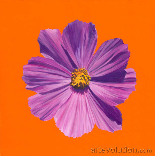 Portrait of a Purple Cosmos