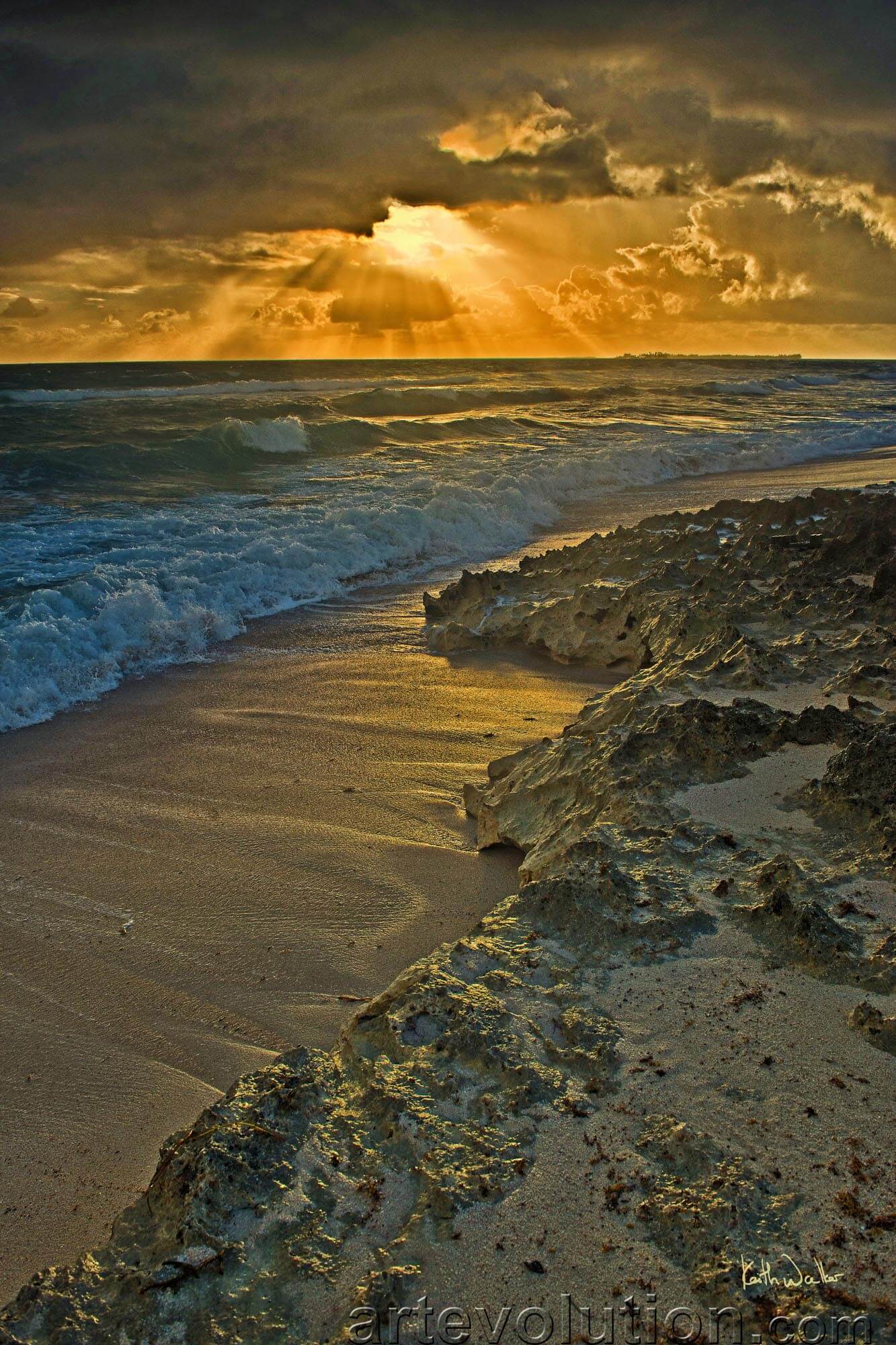 Primeval Sunrise