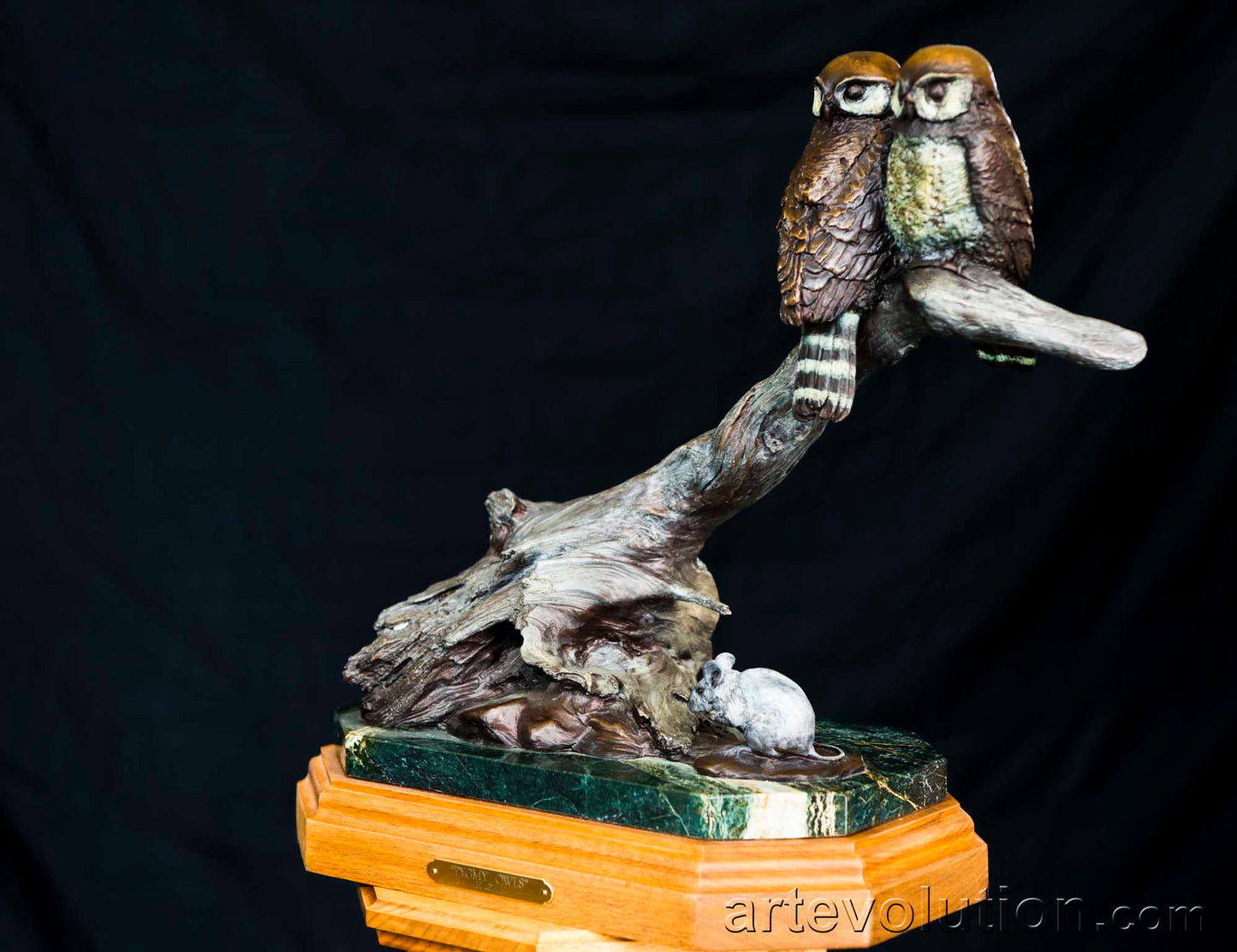 Pygmy Owls