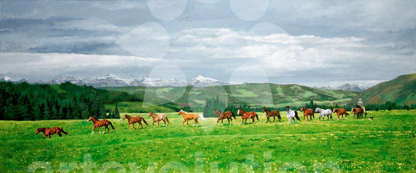 Wranglin' Up The Horses