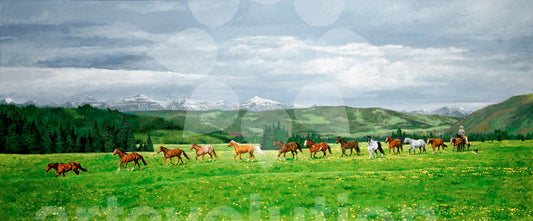 Wranglin' Up The Horses