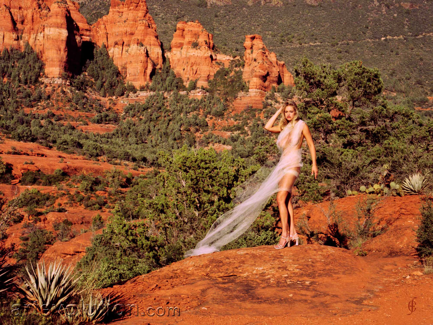 Sedona I