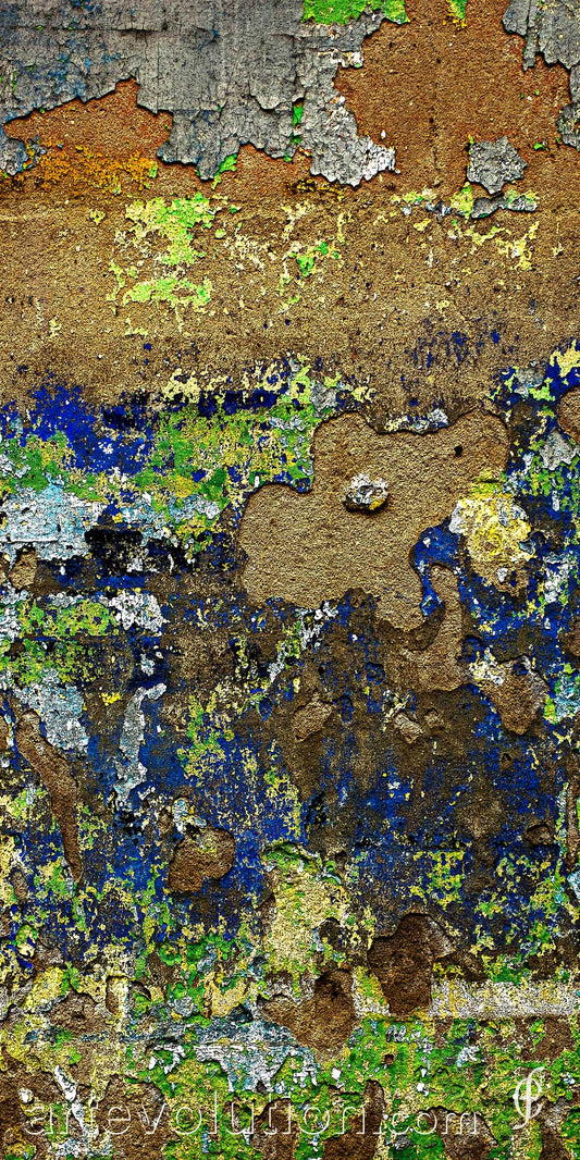 Texture II