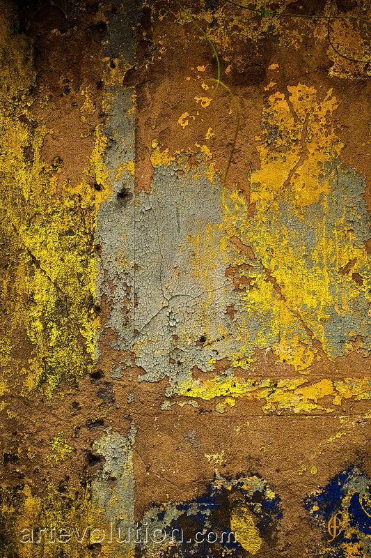 Texture IV