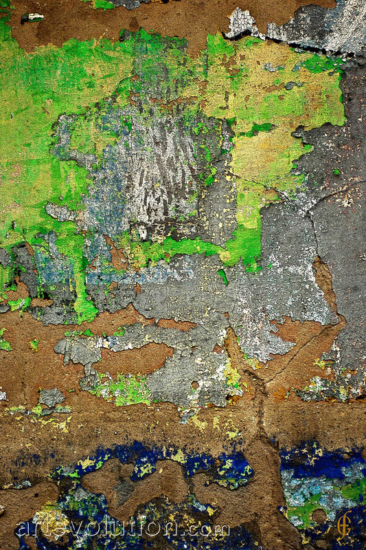 Texture V