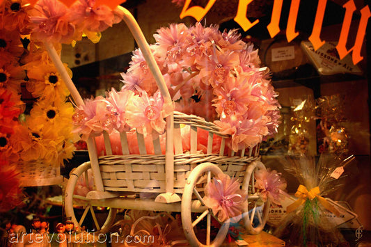 The Candy Shoppe
