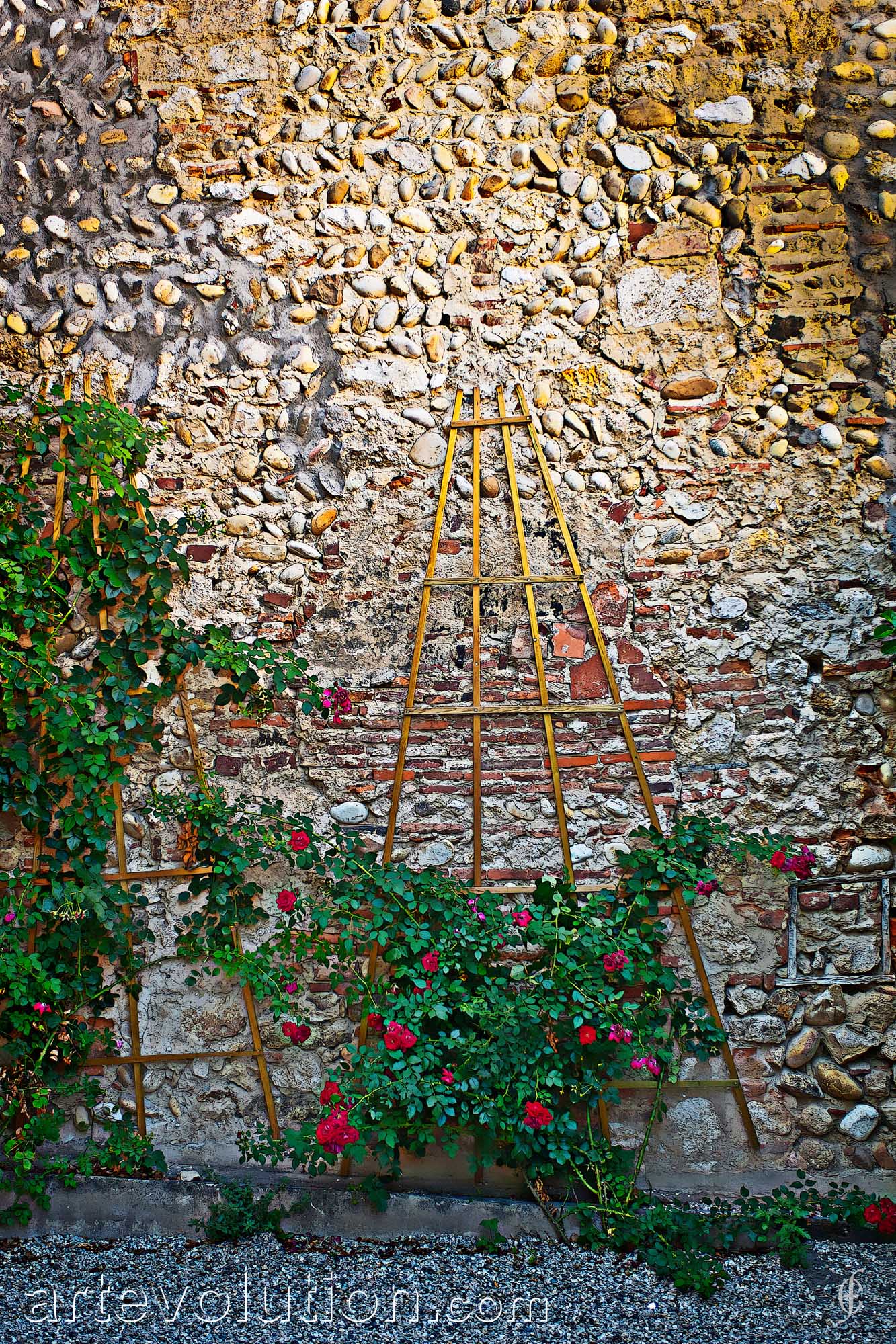 Trellis Detail
