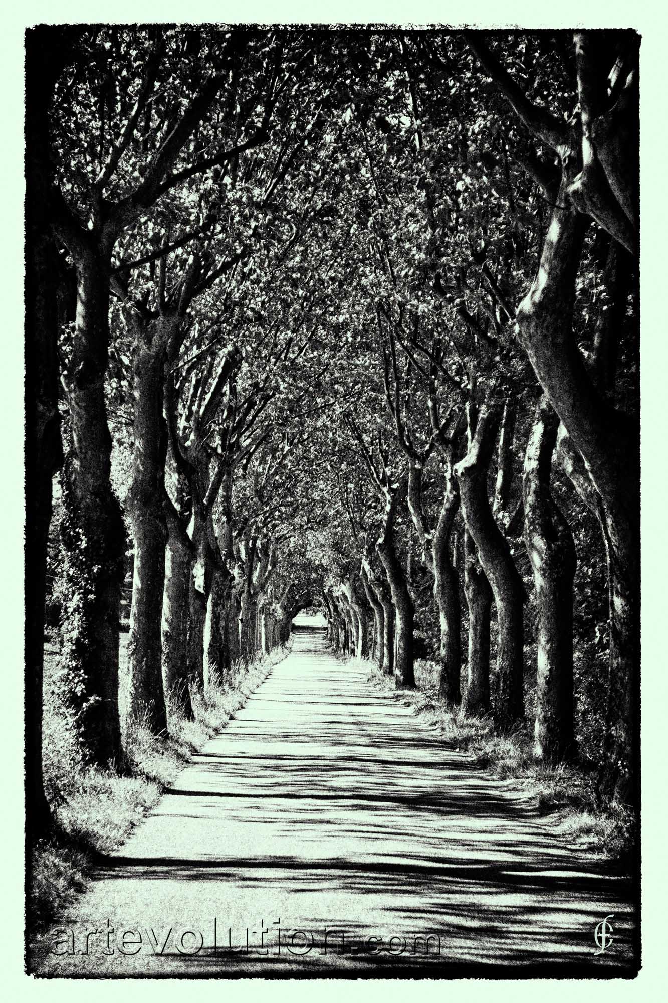 Vanishing Point
