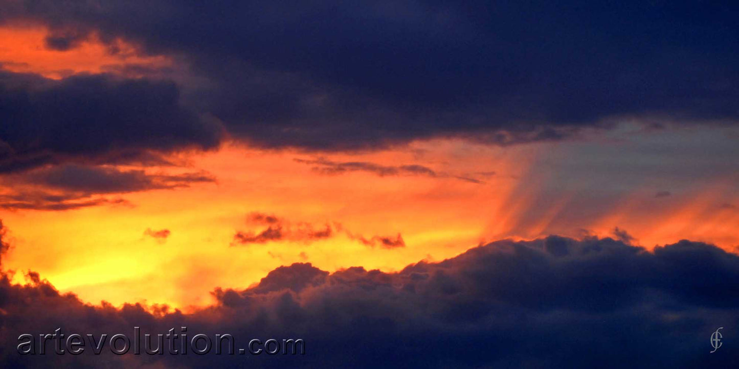 Wave Hill Sunset I
