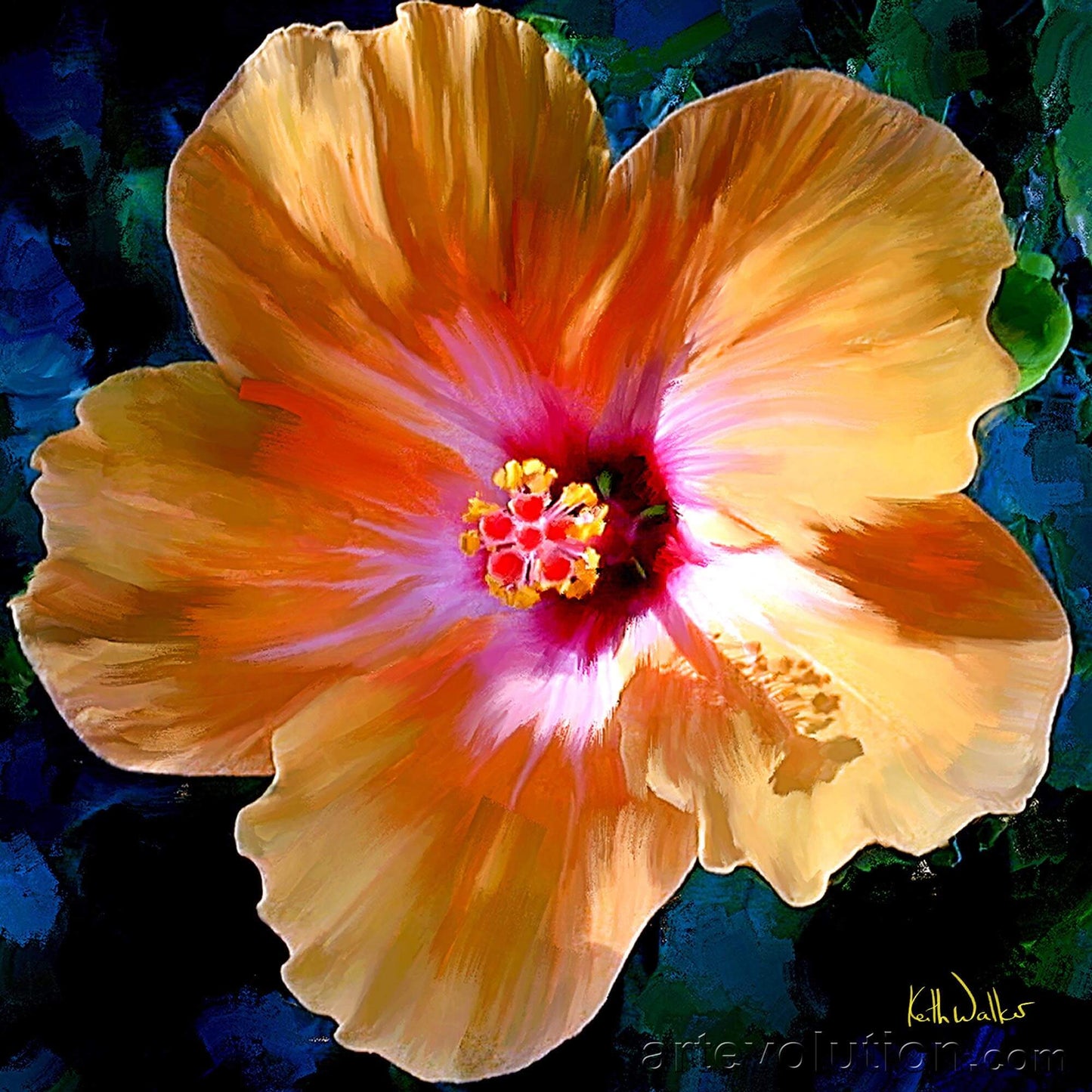 Yellow Hibiscus