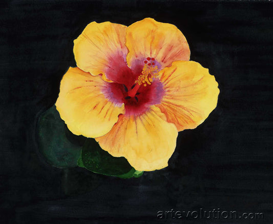 Yellow Hibiscus