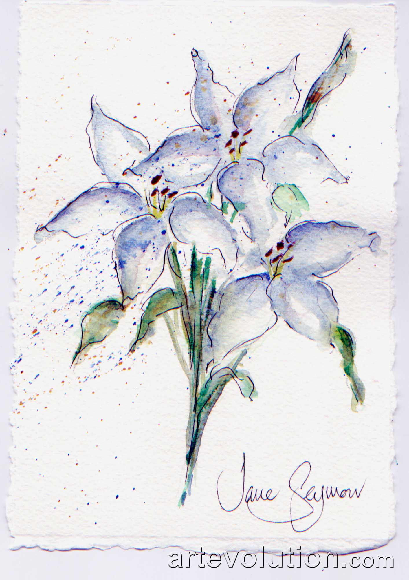 Casablanca Lilies I, with spatter