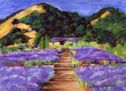 Lavender Fields at Matanzas Creek I (framed)